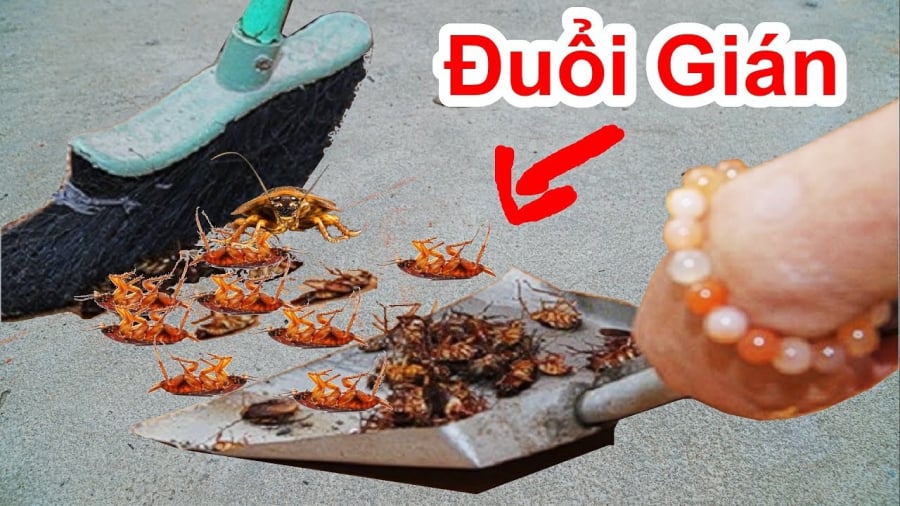 duoi-gian