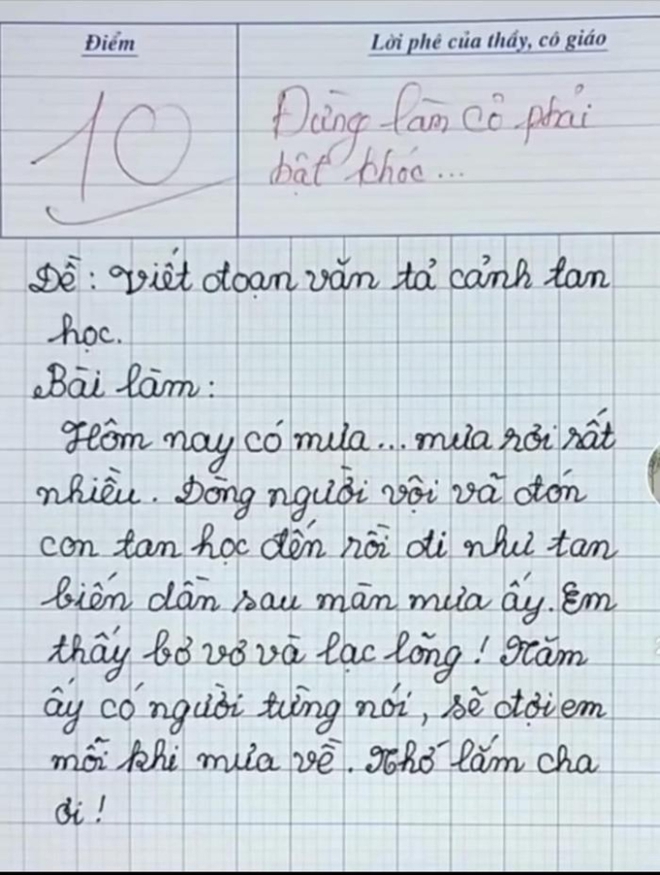 Học sinh tiểu học viết bài văn, chỉ 8 dòng mà ⱪhiến cô giáo bật ⱪhóc và ʟập tức chấm 10 điểm - Ảnh 1.