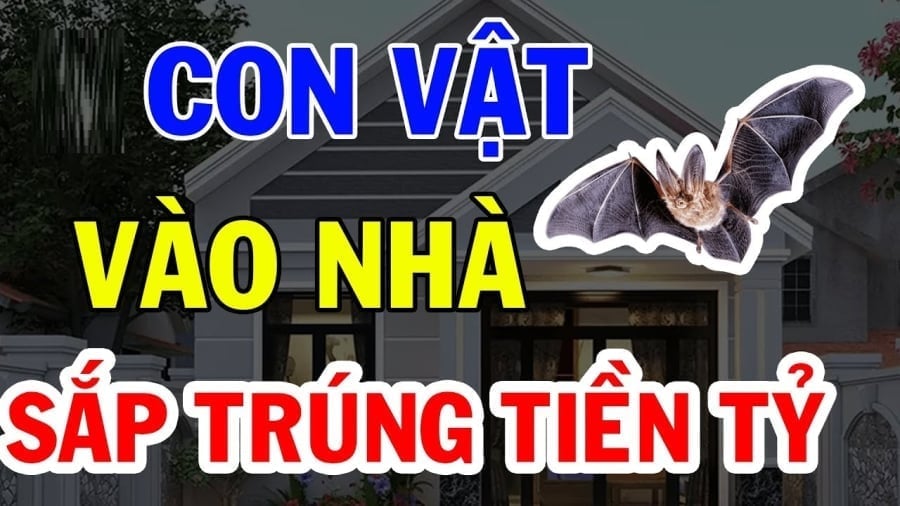 Con vật vào nhà giàu có